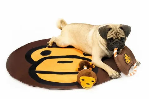 Pet Grooming and Health