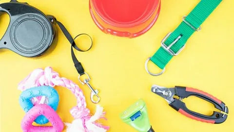 Pet Clothing and Costumes