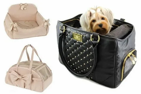 Pet Clothing & Accessories