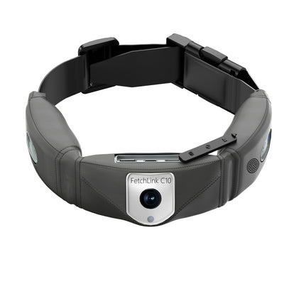 C10 Smart Pet Collar Monitoring Health Multifunctional